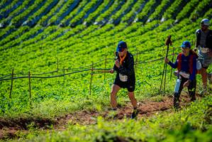 BIB: 200
                            <button type="button" onclick="openModal(19161500)" class="btn btn-primary btn-sm float-right btn-popup" data-toggle="modal" data-target=".modal-high-quality">
                        <i class="fas fa-shopping-cart"></i> Add to Cart
                    </button>
                                            <button type="button" onclick="isThisMe(19161500, true)" class="btn btn-success btn-sm float-right btn-popup btn-isme hidden" data-toggle="tooltip" data-placement="bottom" title="นี่คือรูปของคุณใช่ไหม คลิกที่นี่เพื่อเอาเข้าอัลบั้ม">
                        <i class="fas fa-plus"></i> Add to album
                    </button>
                    <button type="button" onclick="isThisMe(19161500, false)" class="btn btn-warning btn-sm float-right btn-popup btn-isnotme hidden">
                        <i class="fas fa-ban"></i> Remove from album
                    </button>